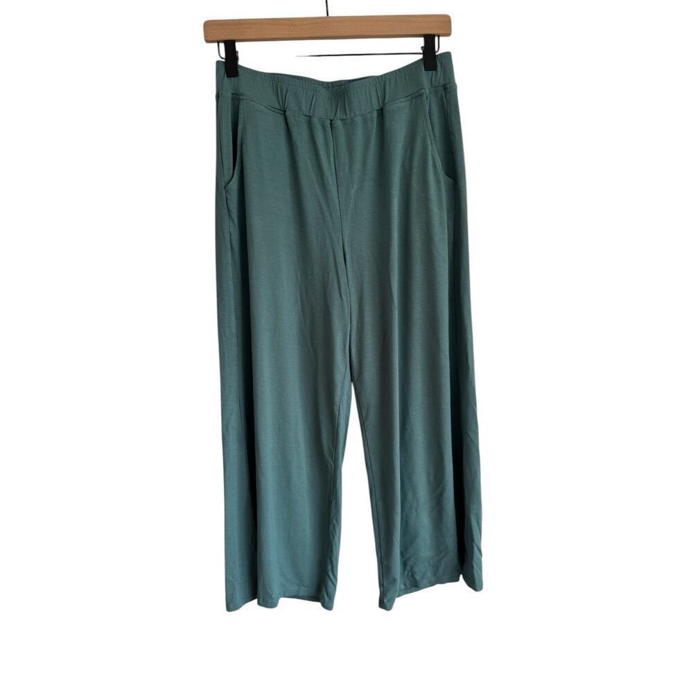Lisa Bayne Pull On Cropped Pants Size Medium Petite Seaglass Stretch High Rise